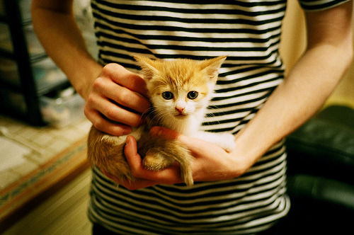 绿洲与蓝调，当布克时刻照亮欧冠决赛，湖人单节风暴席卷凯尔特人