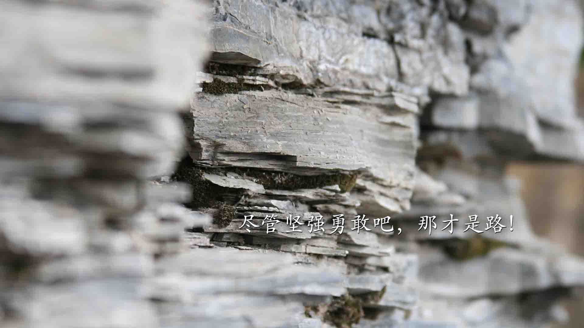 地缘博弈与绝杀时刻,当安哥拉的外交铁幕遇上罗德里戈的终场主宰