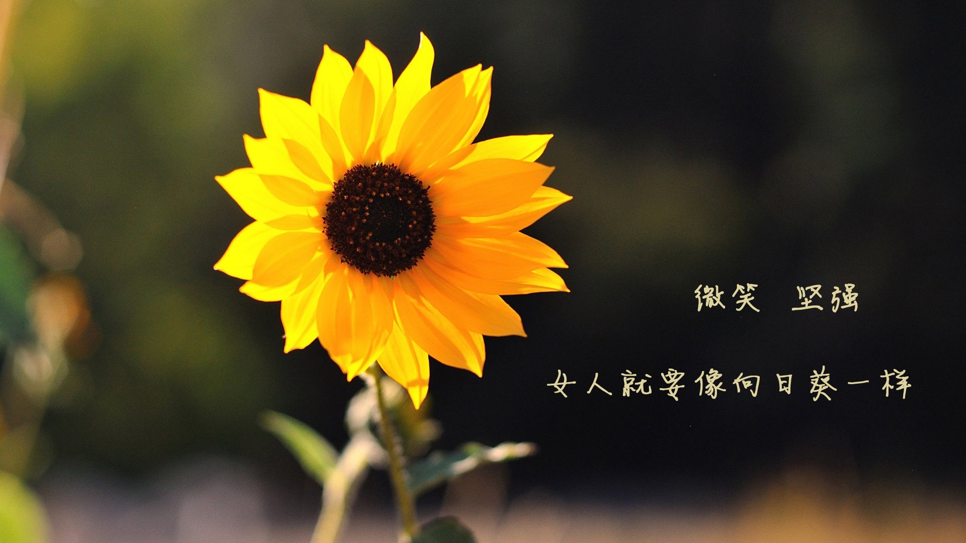 玻利维亚单节狂飙拉开皇马，梅西跨界扮演关键先生