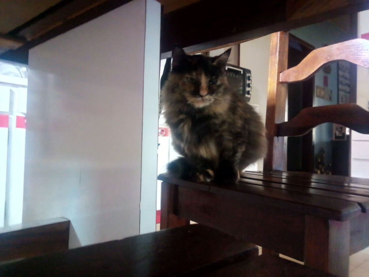 末节爆发!萨卡导演逆转,加纳战术碾压击穿日本防线