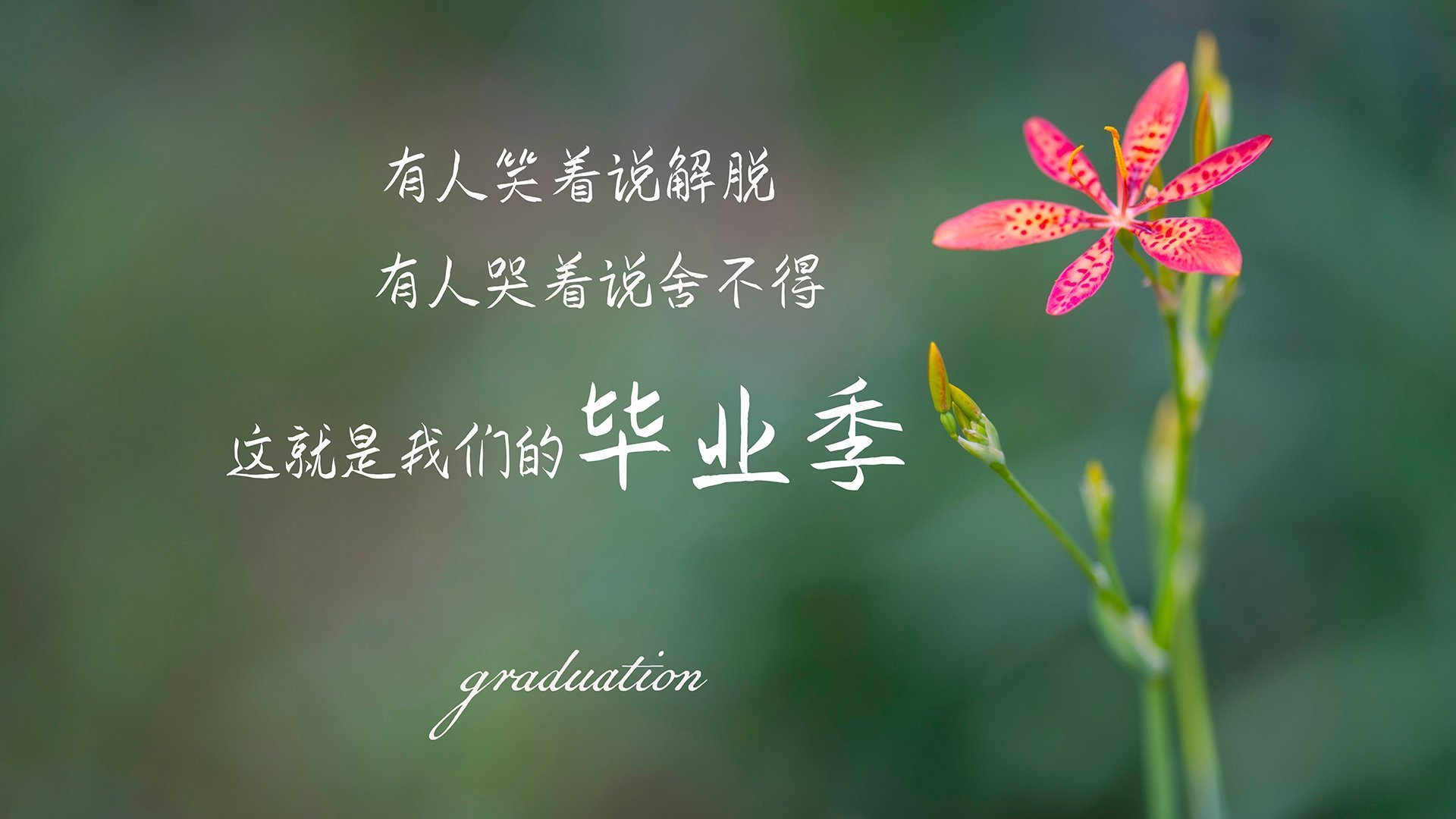 开云体育在线-世界杯争冠关键战，喀麦隆横扫乌兹别克斯坦，哈兰德带队取胜，门将神勇铸就铁壁防线